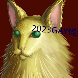 2023GAY搓澡工澡堂 （冰袋）