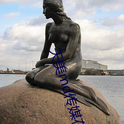 天美md傳媒在線觀看