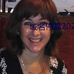 域名停靠2023v5.9.65