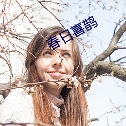 春(春)日喜鹊