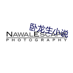 臥龍生小說