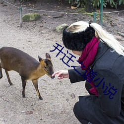升迁之道(dào)小说