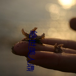 绝世美人鼎 （缀玉联珠）