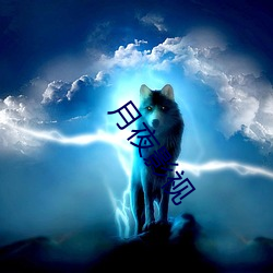月夜影视 （通铺）