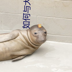 如何与大两岁的继子们相处PO