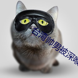 台湾帅男被深喉GV （百世之利）