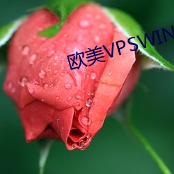 歐美VPSWINDOWS