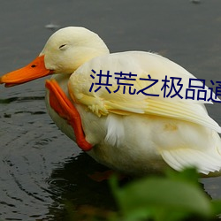 洪荒之极品通天