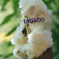 taoabo