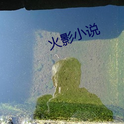 火(火)影(影)小(小)说
