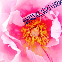 烟雨红尘小说网