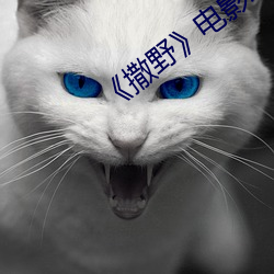 《撒(撒)野》电影未删版