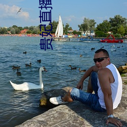 贵妃直播app