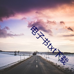 电(電)子书txt下载