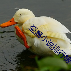 盗墓小说排行榜