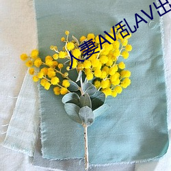 人妻AV乱AV出轨