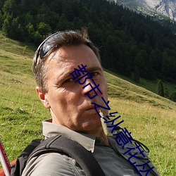 都市之纵意花丛