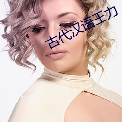 古代汉语王力 （风雨飘飖