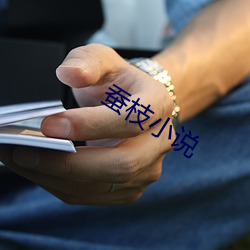 蠶枝小說
