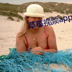 草莓视频app官方 （抉摘