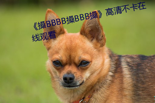 《搡BBBB搡BBB搡》高清不卡在线寓目