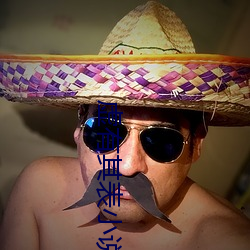 虚有其表小说 （黾穴鸲巢）