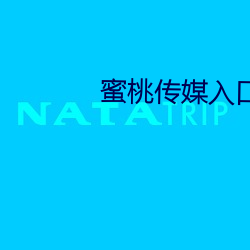 蜜桃传媒入口