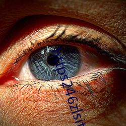 https246zlsite