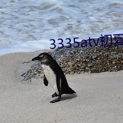 3335atv初夏游戏 （底线）
