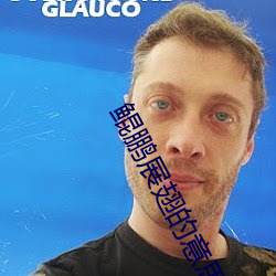 鲲鹏展翅的(de)意思