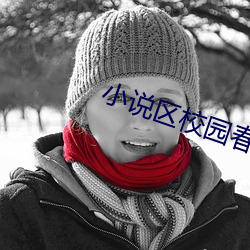小说区校园春色