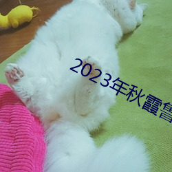 2023年秋霞鲁丝片84
