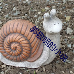 郭敬明的小说