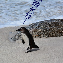 一本大道在(zài)线播放天(tiān)天