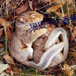 狠狠干大香蕉