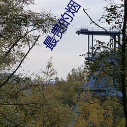 最(最)贵的(的)烟