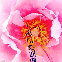ca88手机客户端(安卓/苹果)CA88会员登录入口