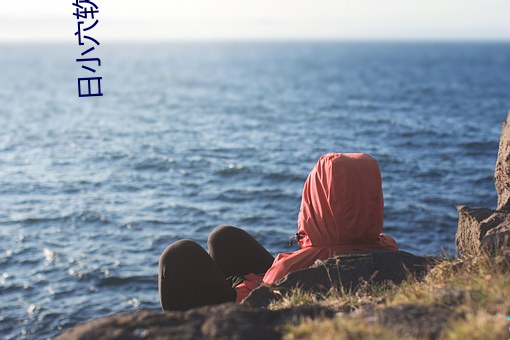 日小(小)穴软(軟)件(件)软件下(下)载(載)