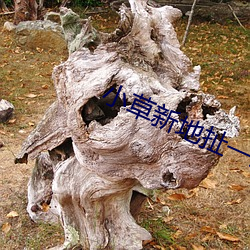 小草新地扯一二
