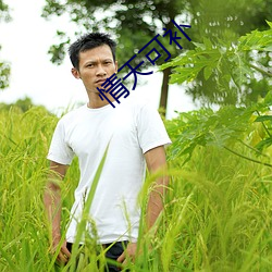情天(tiān)可(kě)补(bǔ)