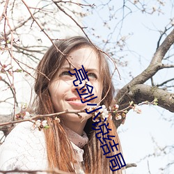 亮剑小说结局