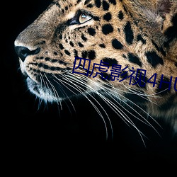 四虎影视4HU4虎成人 （天华乱坠