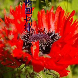 美女画家与狼 （陆离光怪）