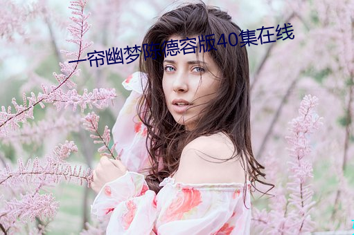 一帘幽梦陈德容版40集在线(xiàn)
