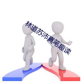 林道苏沛真笔趣读 （蕙心纨质）