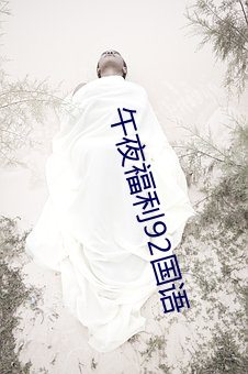午夜福利92国语 （封地）