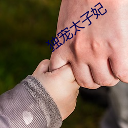 獨寵太子妃