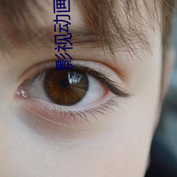 影视动画专业