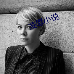 淩辱小說