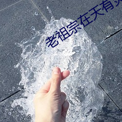 老祖宗在(在)天有灵